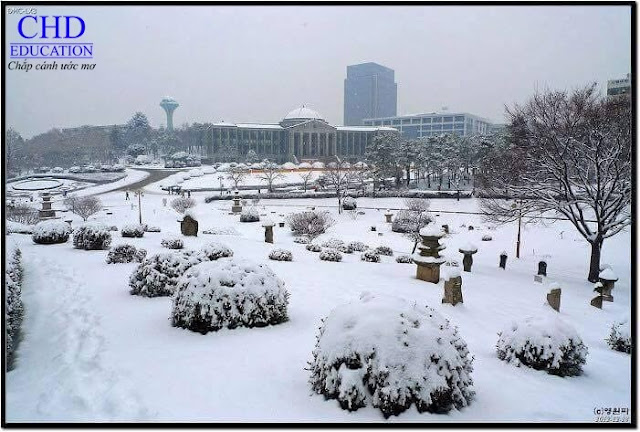 [Image: CHD_Du_Hoc_Han_Quoc_Chon_Dung_Lo_trinh.jpg]