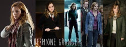 potter harry hermione granger characters inspired pt books