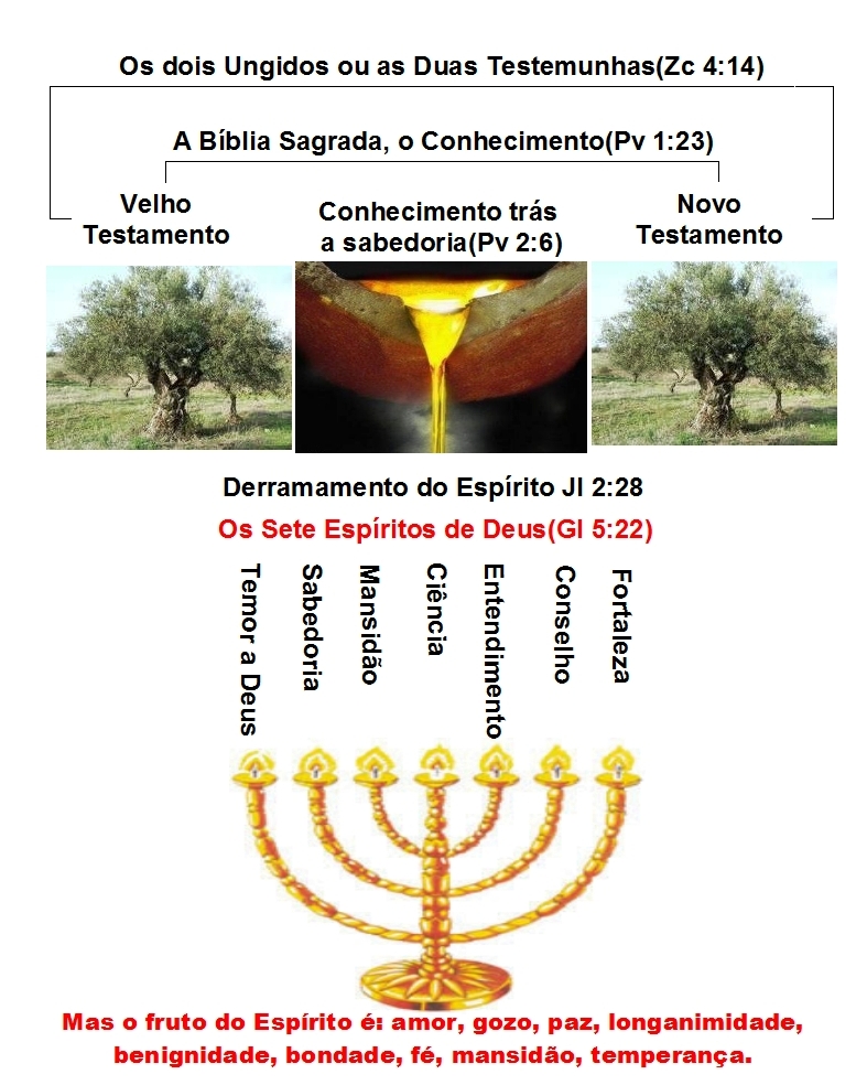 PALAVRAS QUE EDIFICAM A FÉ!!!: OS SETE ESPÍRITOS DE DEUS