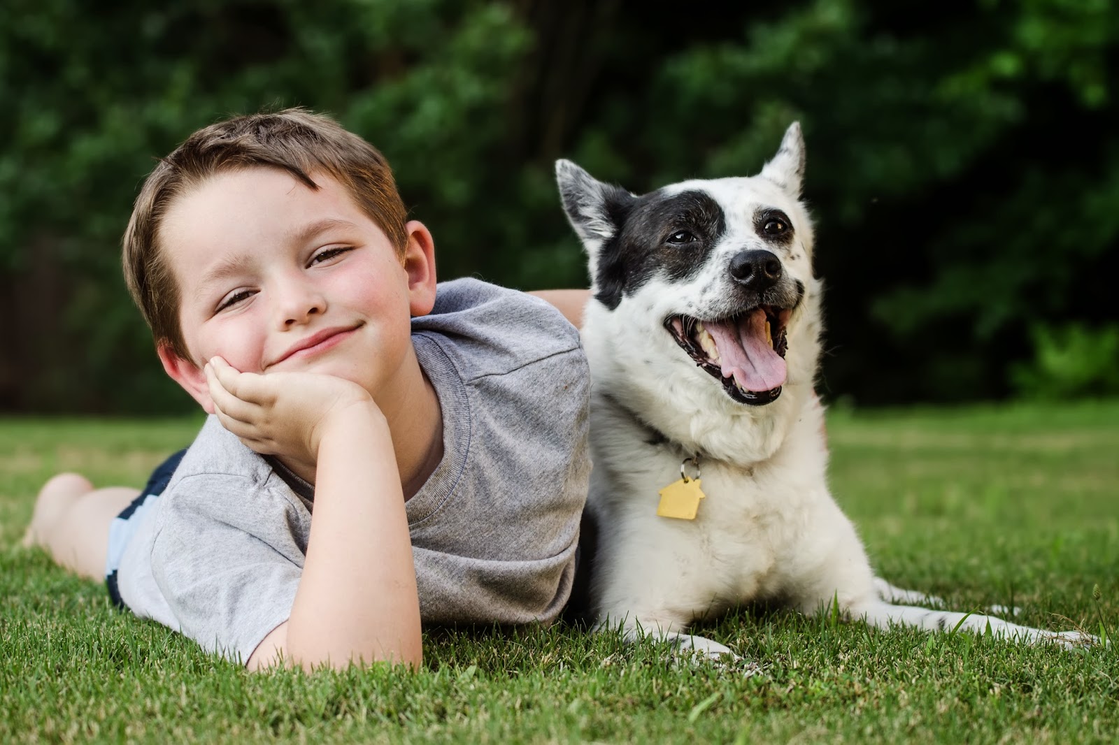 a young boy having fun with his black and white dog