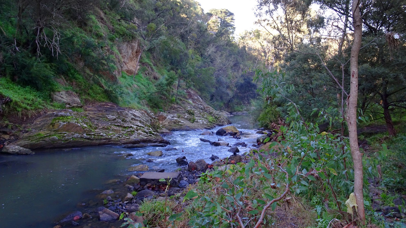 MAP: DAREBIN CREEK IN WINTER