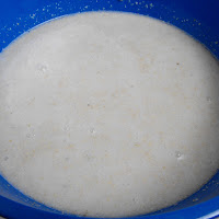 RAYGUNOMICS: Rice + Water + Blender = Rice Milk!