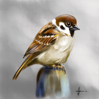 Î‘Ï€Î¿Ï„Î­Î»ÎµÏƒÎ¼Î± ÎµÎ¹ÎºÏŒÎ½Î±Ï‚ Î³Î¹Î± sparrow painting