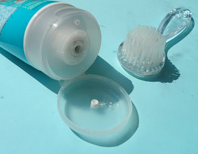 Garnier Skin Naturals Pure Cleanser 3 in 1 review Brush by Ebelin