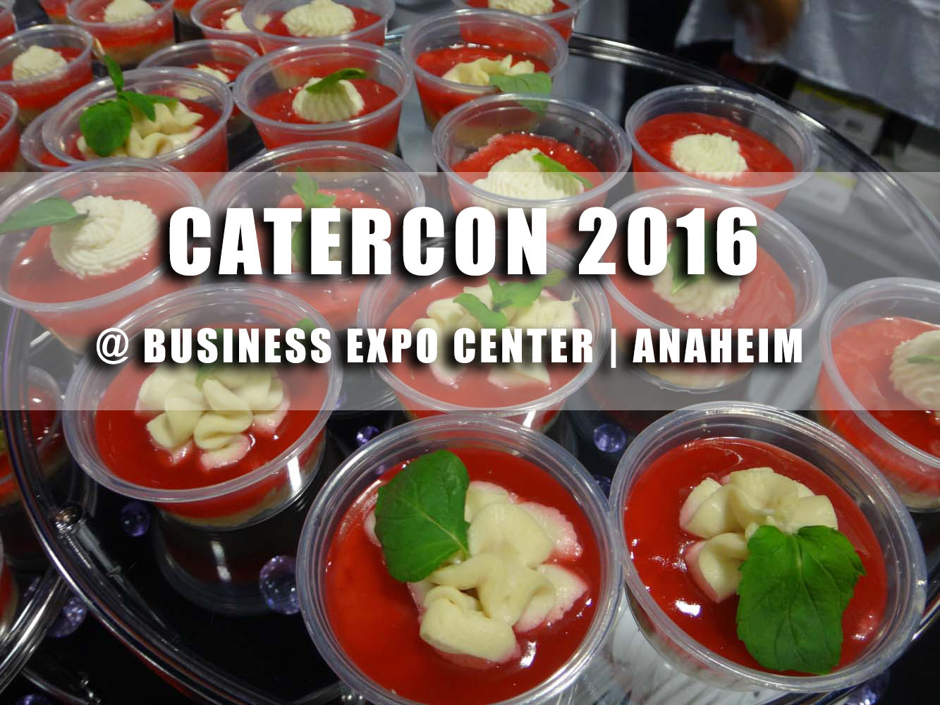 My First CaterCon Experience 2016! | Photo Diary