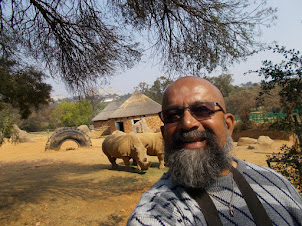 "Selfie" with the "White Rhinoceros".