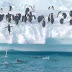 Πιγκουίνοι στους πάγους