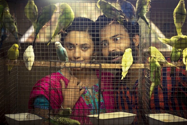 COOGLED: CUCKOO MOVIE HD WALLPAPERS