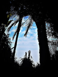 Oasis in the Gobi Desert