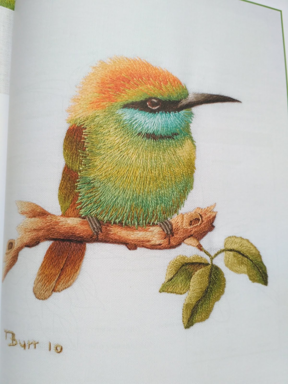 триш бур вышивка гладью. триш бурр магнолия. вышивка триш бурр цветы. оттеночное вышивание гладью триш бурр. триш бурр ботаническая вышивка.