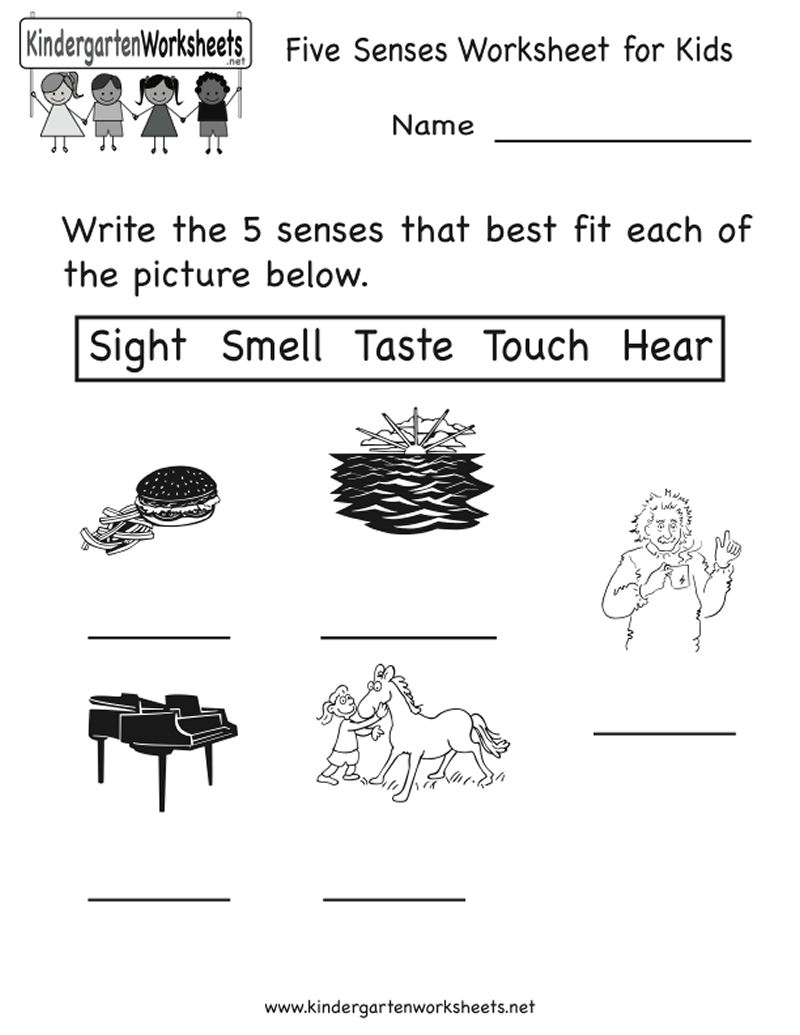 five senses worksheet for kids printable - 5 Senses Worksheets For Kindergarten