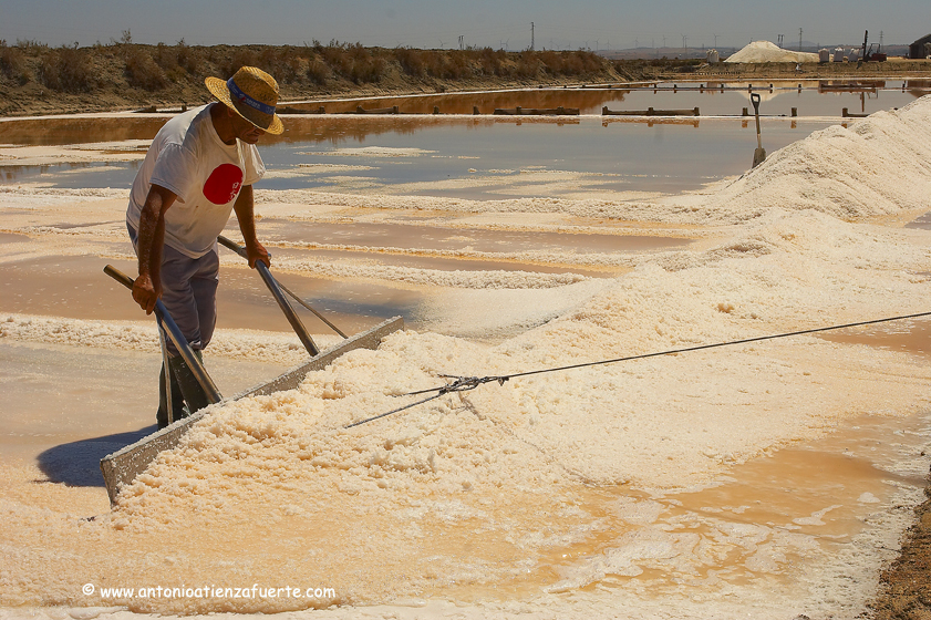 Escuchemos a la Naturaleza LA EXTRACCIÓN DE LA SAL EN LA MARISMA GADITANA