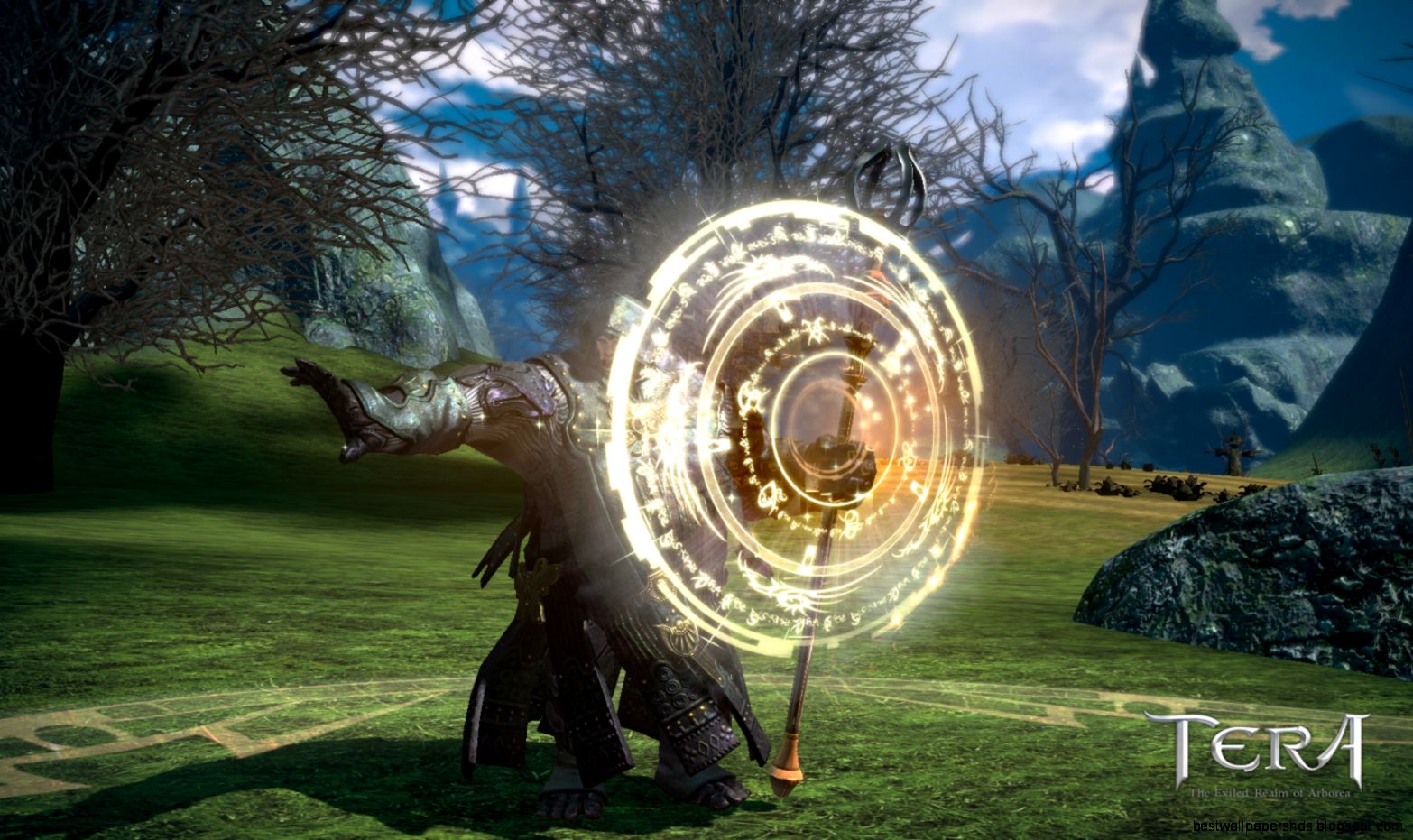 TERA ONLINE fantasy adventure game 78 wallpaper  1684x1035