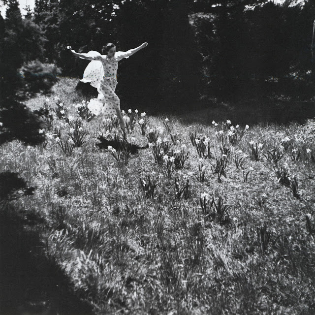 Photography by Toni Antoinette Frissell