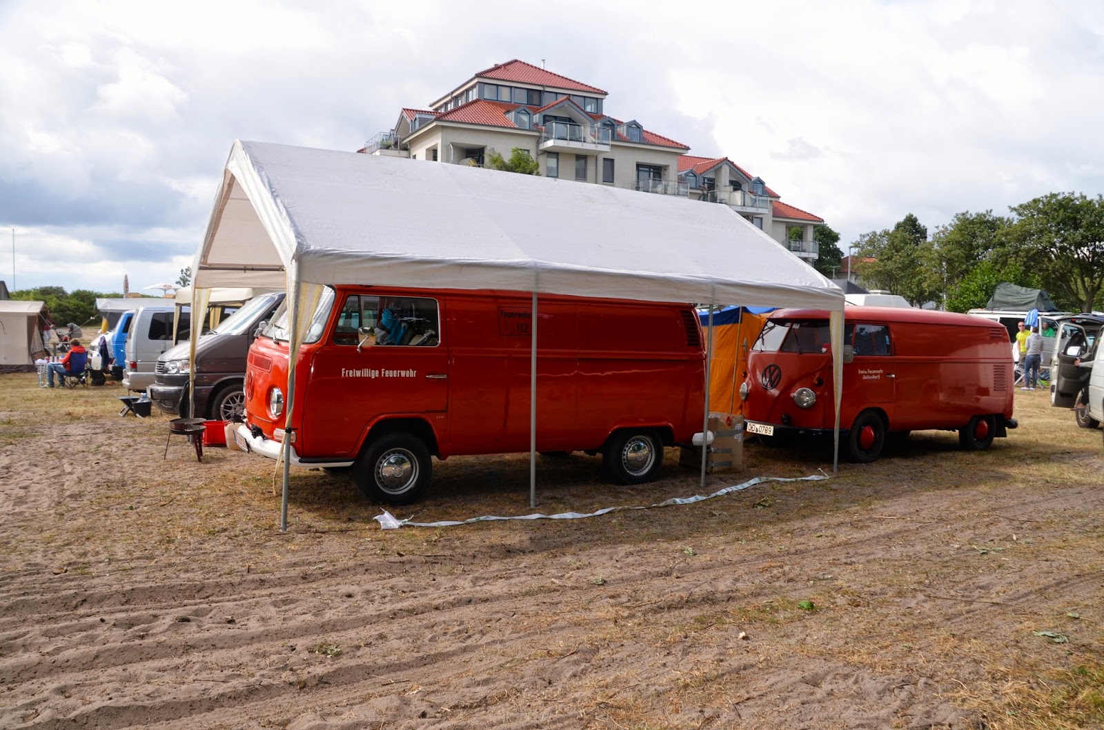  Fehmarn mit Hund: Bullitreffen auf Fehmarn am 20.06.2014 Bildidee 