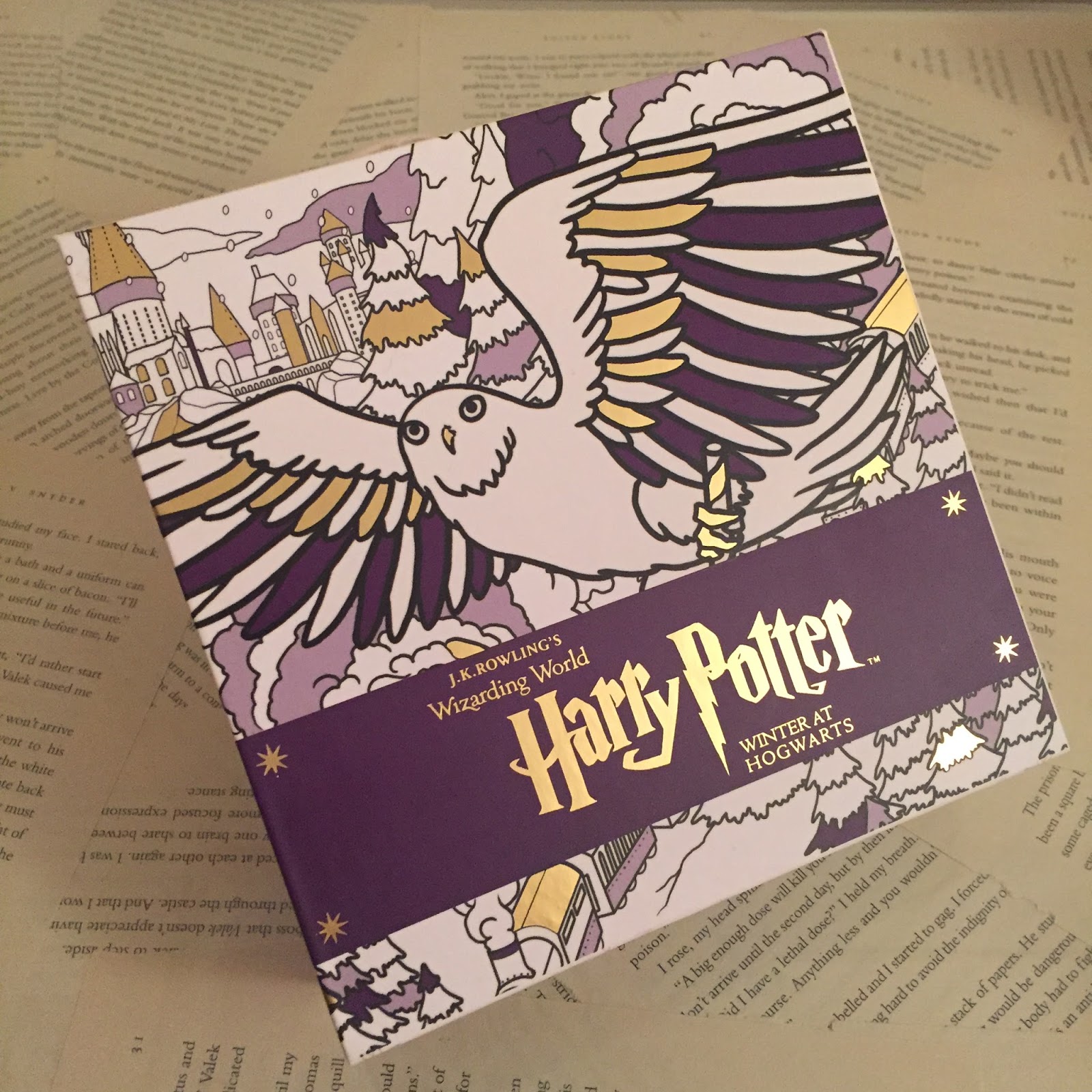 Harry Potter: Winter at Hogwarts: A Magical Coloring Set by NOT A BOOK