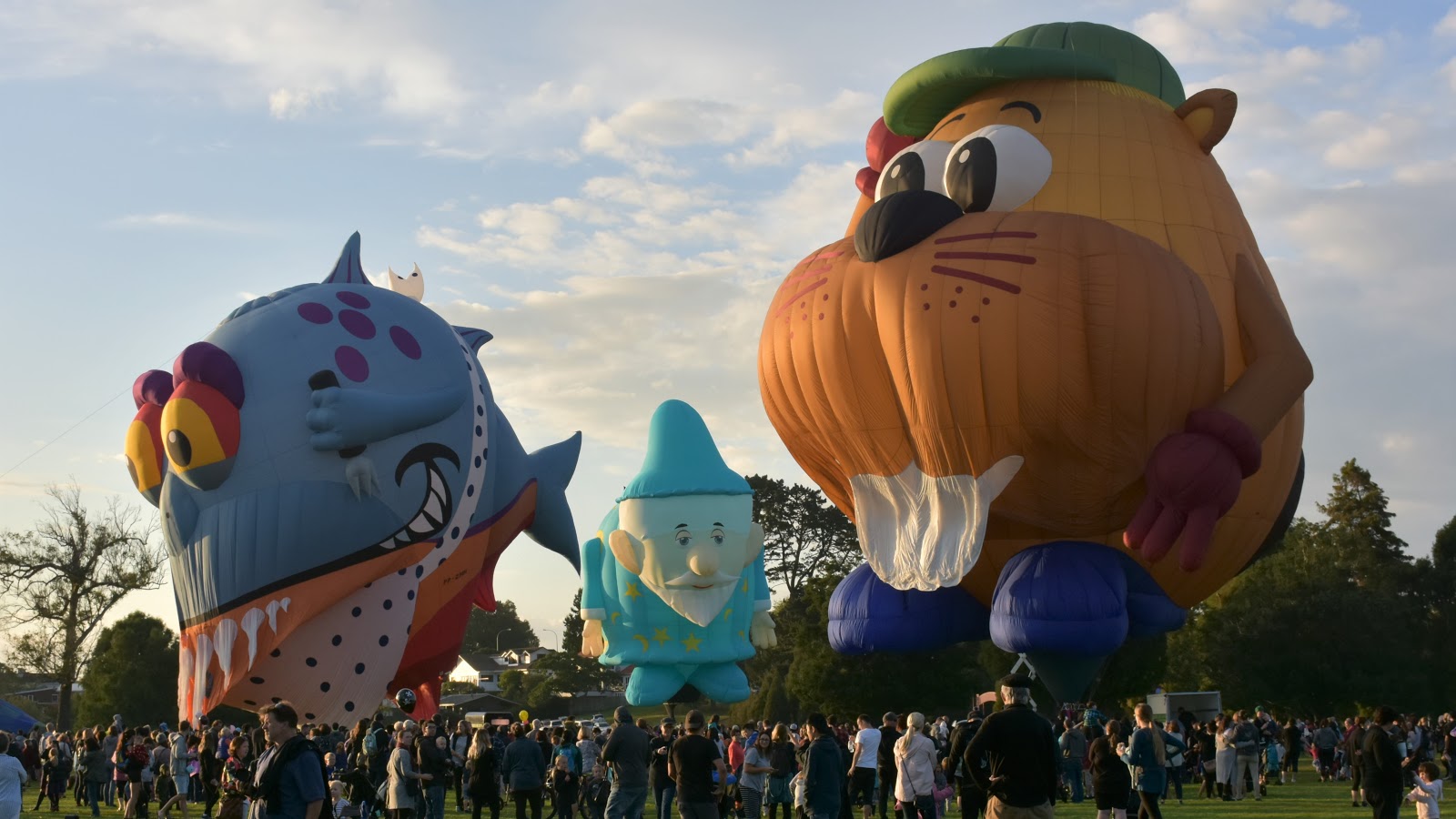 Tauranga Spotter BALLOONS OVER WAIKATO