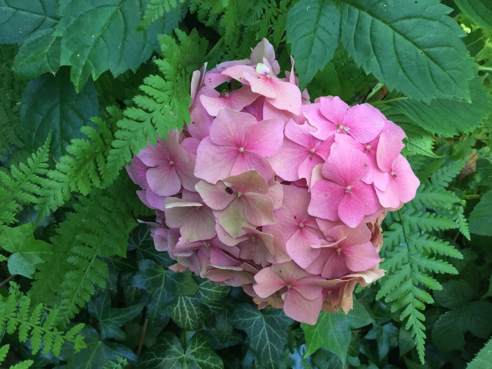 Hugo E Martin S Blog 2014