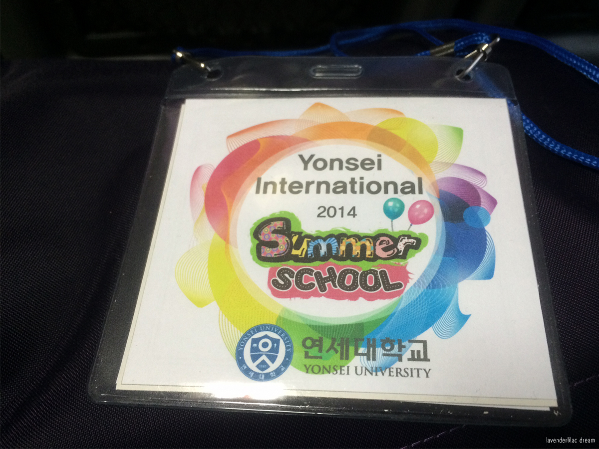 Seoul, Korea - Summer Study Abroad 2014 - Seoul City Touring - Yonsei University student