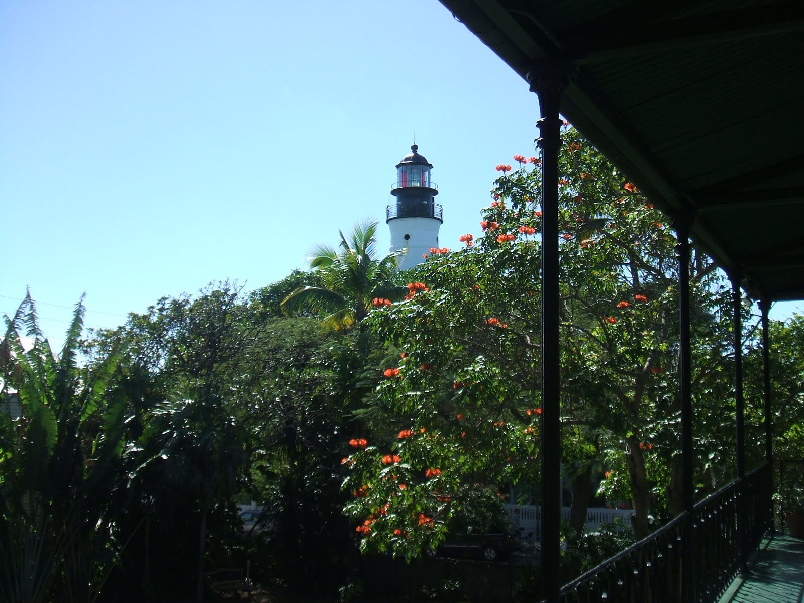 Meg’s Wildlife Sanctuary and Boot Camp: Hemingway house garden