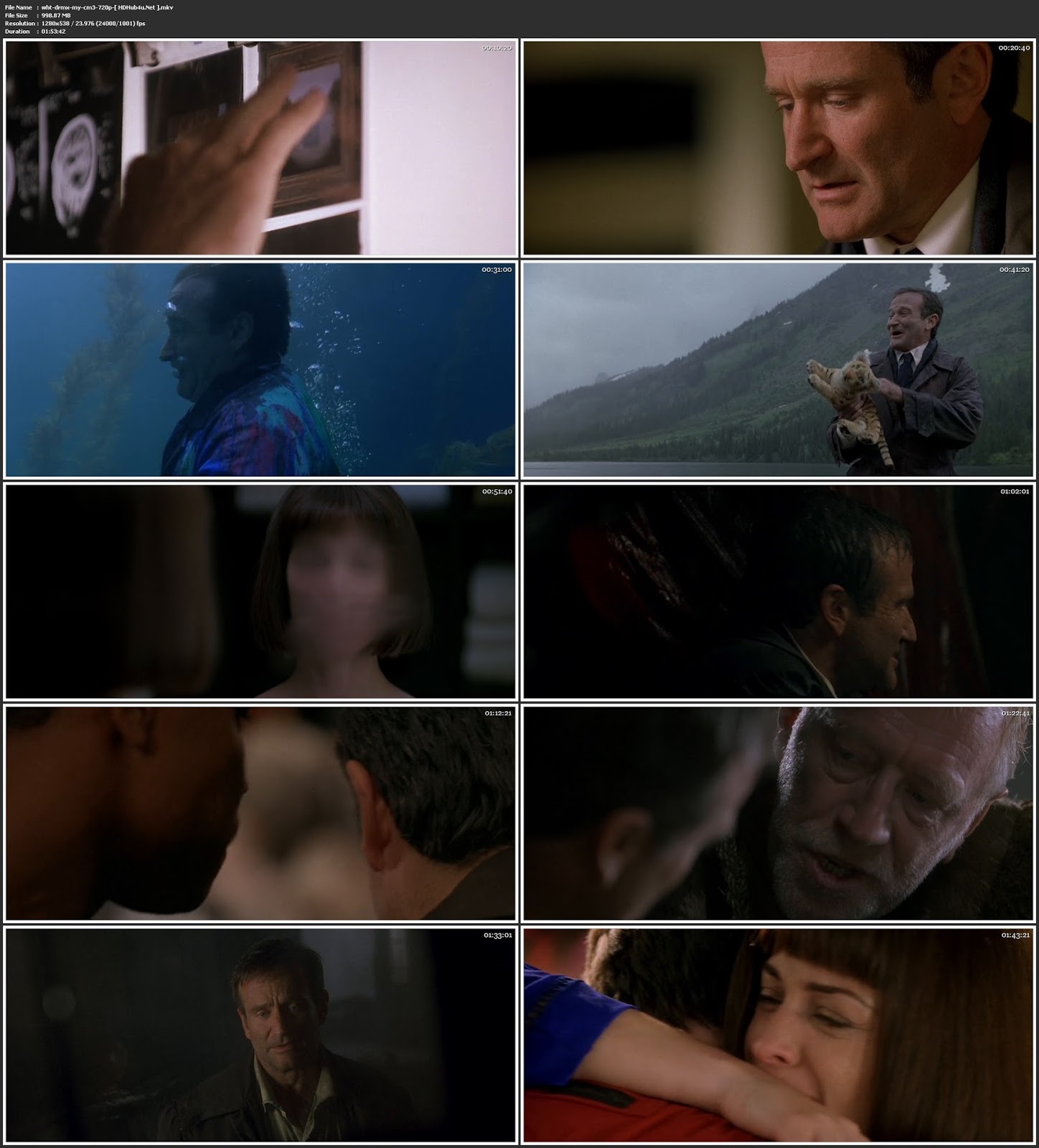 What Dreams May Come 1998 Hindi Dual Audio 480p BRRip 350MB Download