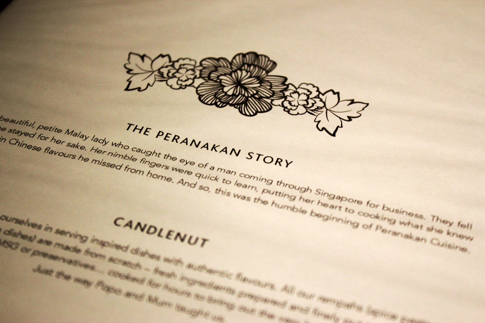 Candlenut Kitchen One Time is Not Enough theMOOSE makan travel 画画