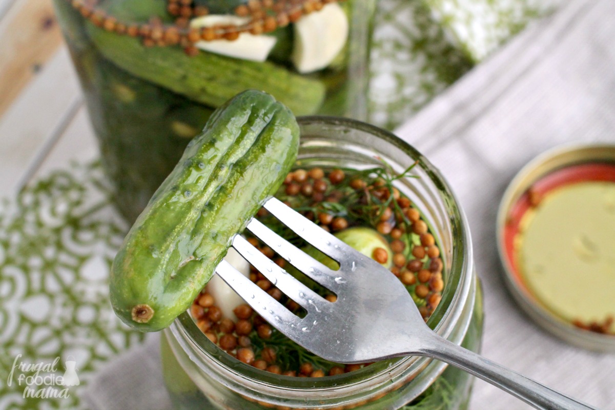 Frugal Foodie Mama Refrigerator Baby Garlic Dill Pickles