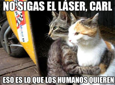 Gato laser