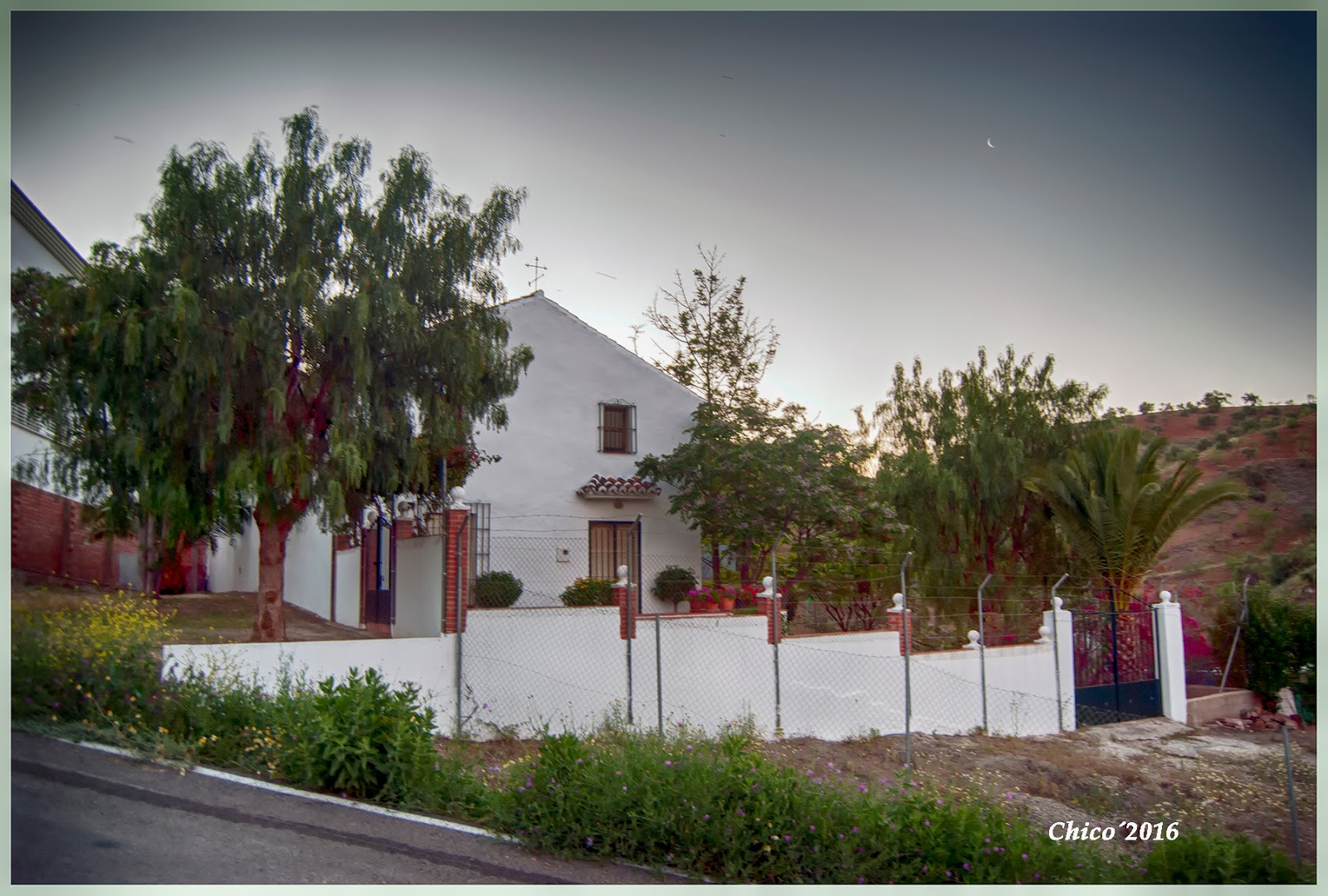 ALMOGIA EL BLOG DE CHICO