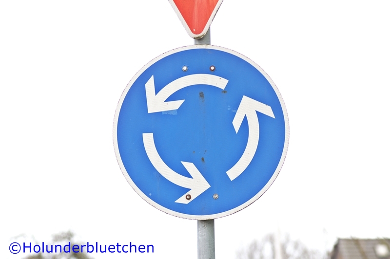 Holunderbluetchen: Februar 2013