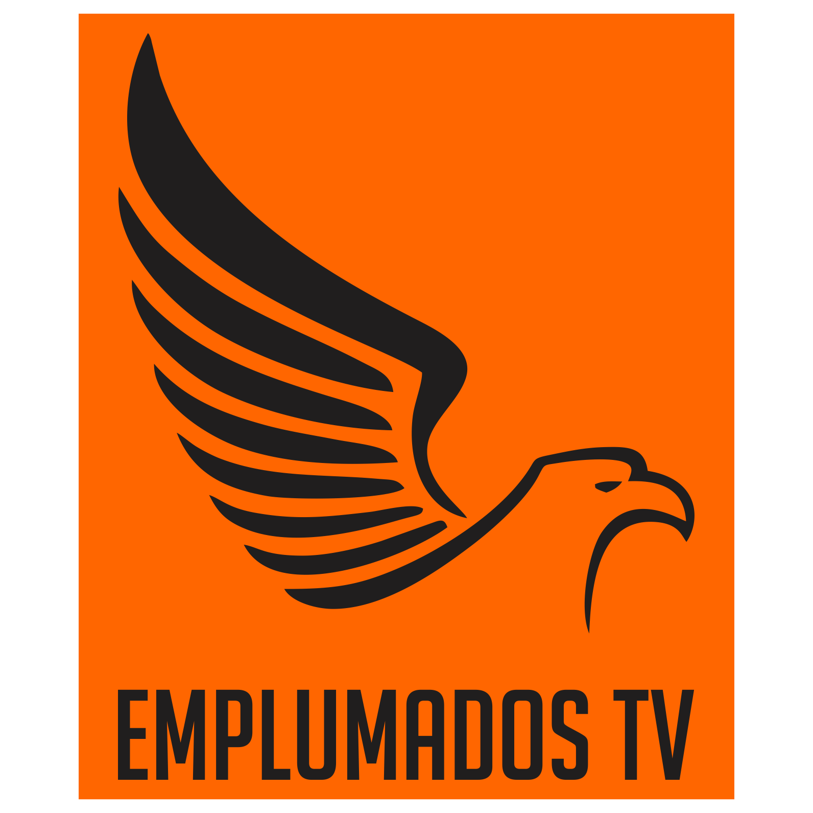 EmplumadosTV | Todo el acontecer del equipo más popular de El Salvador