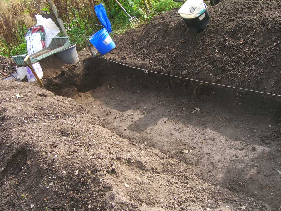 Allotment Garden The way I get rid of couch grass (Elymus repens)