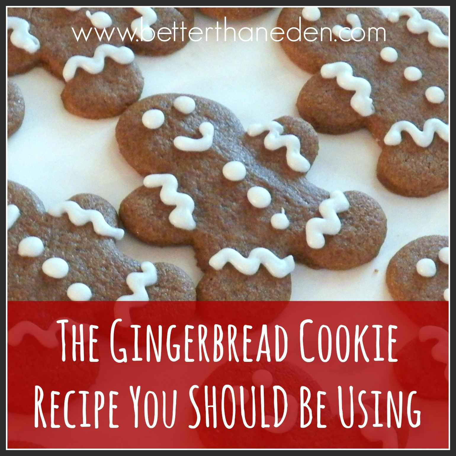 The Gingerbread Cookie Recipe You Should Be Using - Mary Haseltine