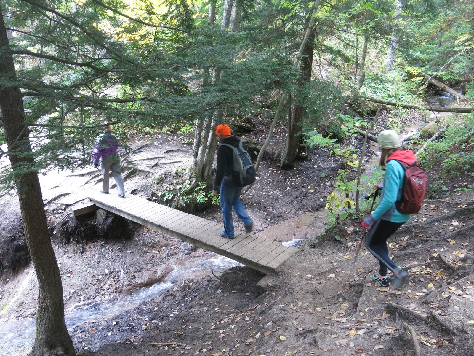 Kalamazoo Seasons Manistee River Trail