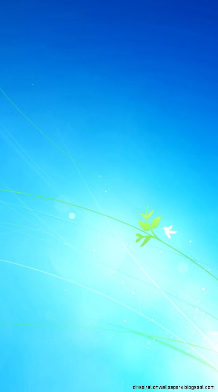 windows 7 original iPhone 6 Wallpapers  HD iPhone 6 Wallpaper