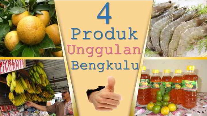 4 Produk Ungulan Bengkulu, Jeruk Kalamansi Masuk di Dalamnya.