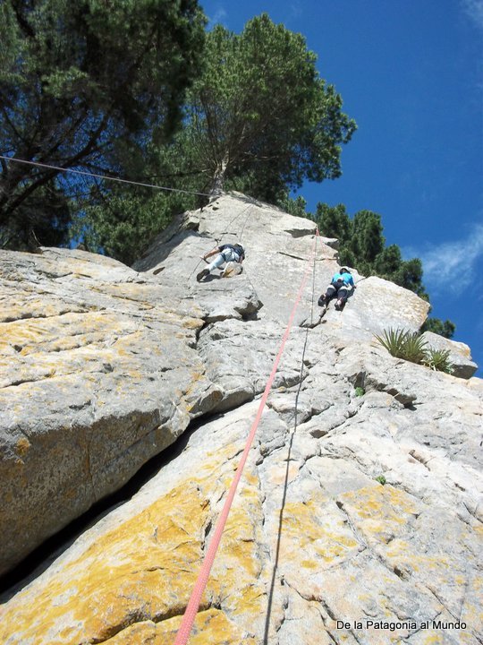 De la Patagonia al Mundo Coliumo