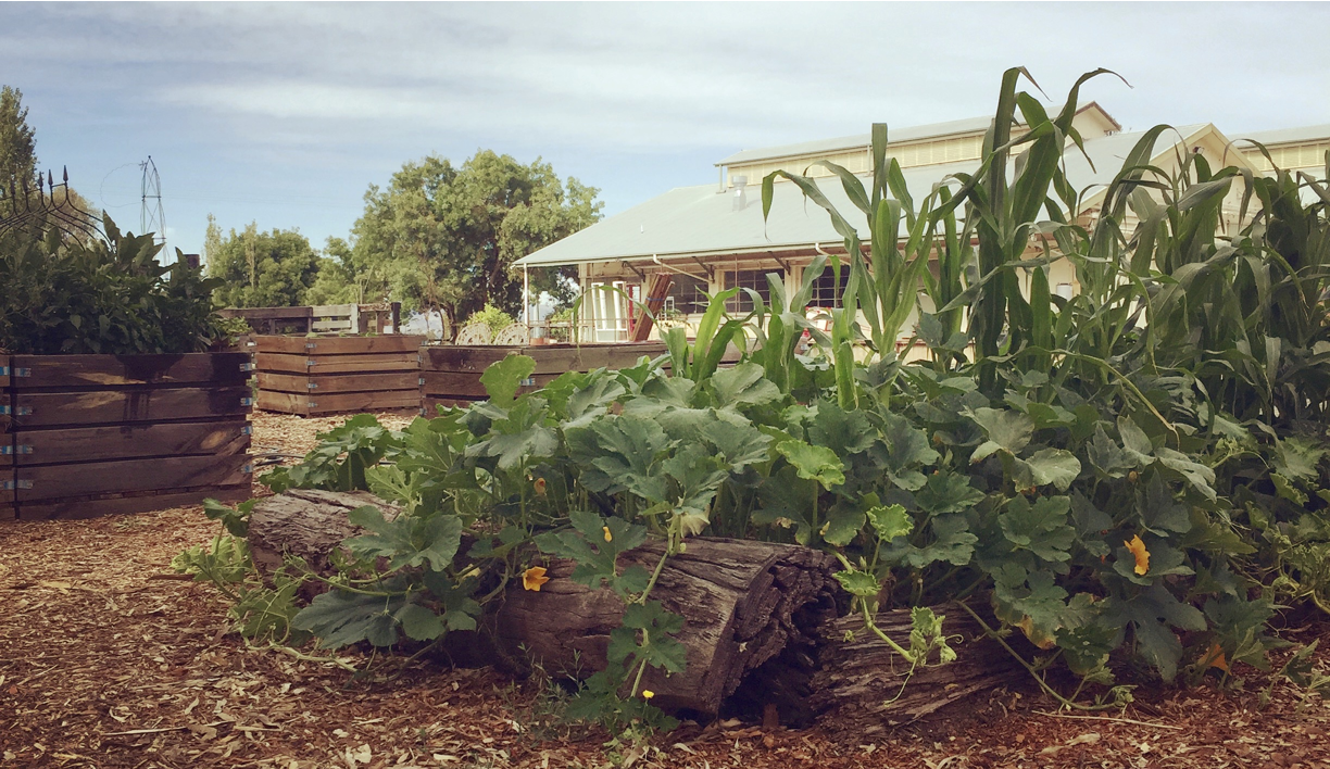 Gourmet on the Road Travelling, eating and drinking with Winsor Dobbin