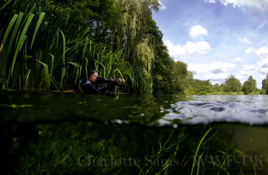 Long overdue update  underwater river images  Charlotte Sams