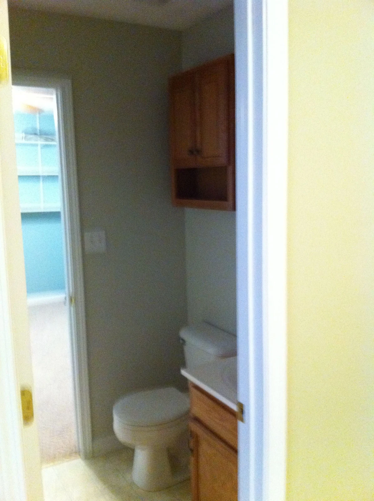 Living Thru Faith: Bathroom Vanity