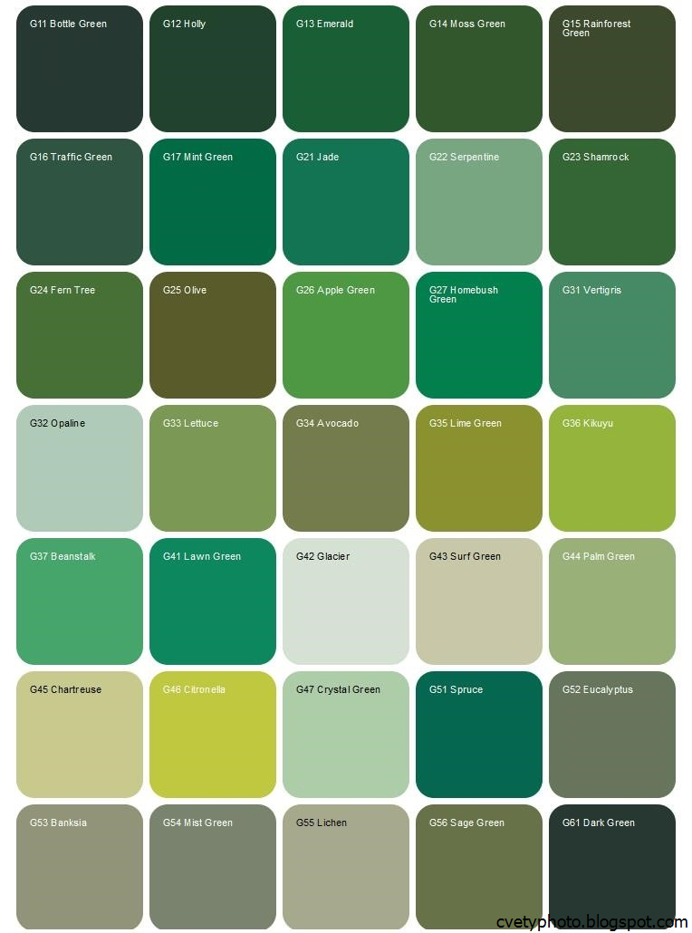 Названия оттенков зеленого в одежде