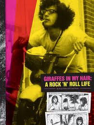 our graphic novel - Giraffes in my Hair