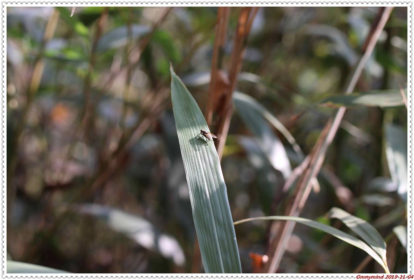 구례 화엄사 구층암