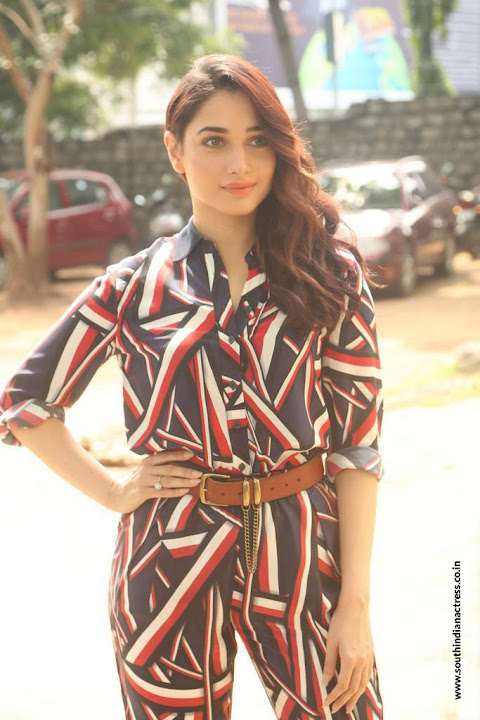 Tamannaah at Queen Movie Launch