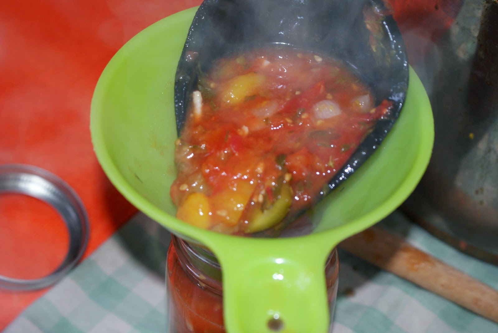 Sanctae Familiae Villa Canning Salsa Water Bath Method Revised*