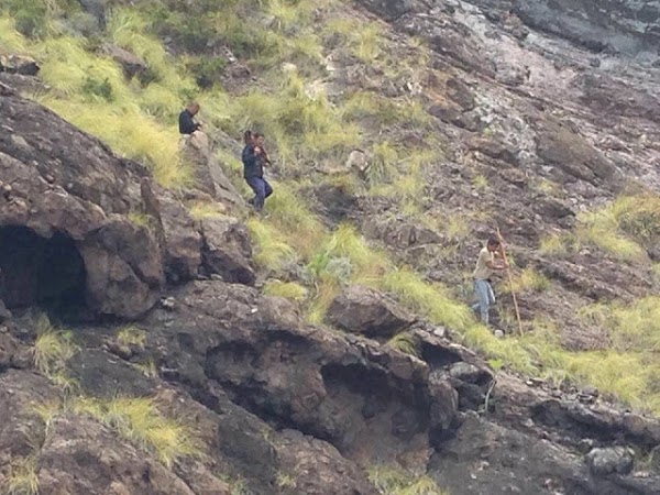 Matar cabras costará al Cabildo de Gran Canaria unos 17.000 euros Matar cabras costará al Cabildo de Gran Canaria unos 17.000 euros
