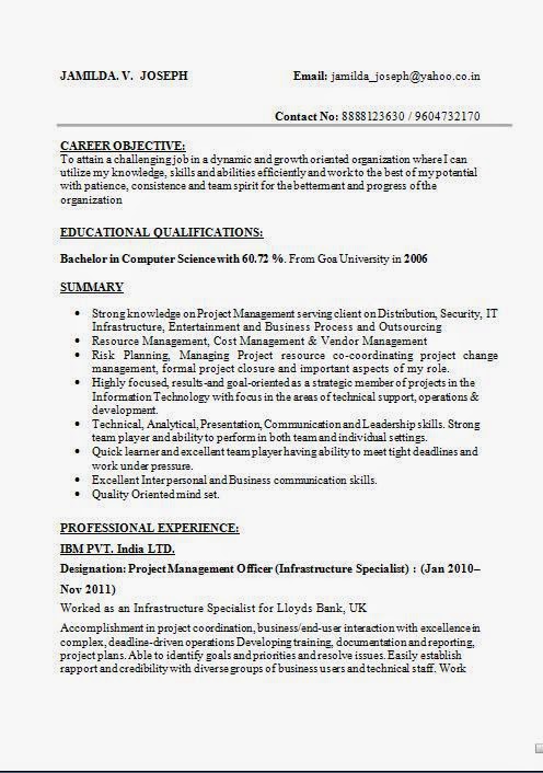 Experience Resume Format for IT Professional