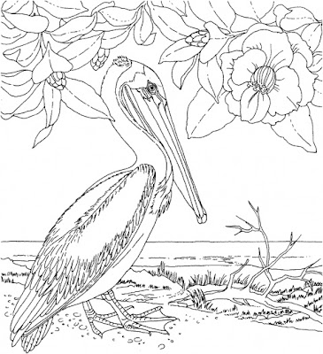 Birds Coloring Pages