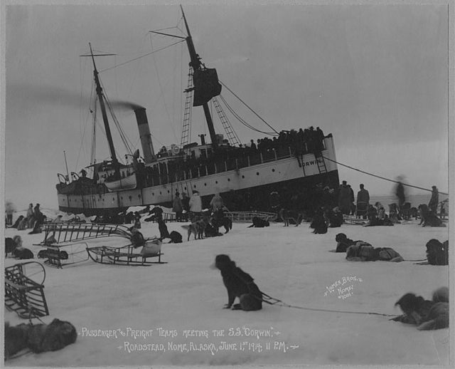 Everything English! The Iditarod An Amazing Race!