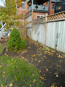 Annex garden cleanup Annex east bed Paul Jung Toronto Gardening Services after